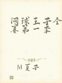 网球王子全国大赛第一季