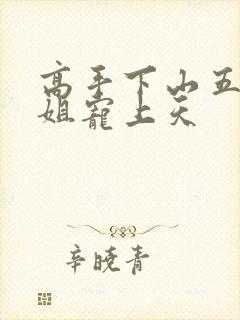 高手下山五个师姐宠上天