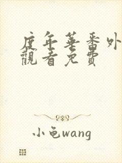 度年华番外在线观看免费