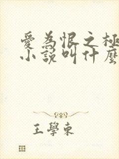 爱为恨之极原著小说叫什么名字