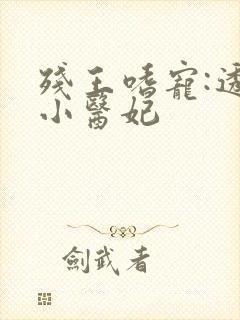 残王嗜宠:透视小医妃