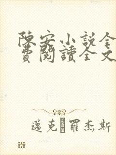 陈安小说全文免费阅读全文