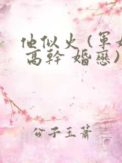 他似火 (军婚 高干 婚恋)