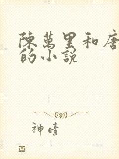 陈万里和唐嫣然的小说