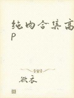 纯肉合集高hnp