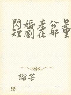 闪婚老公是总裁短剧在哪里免费看