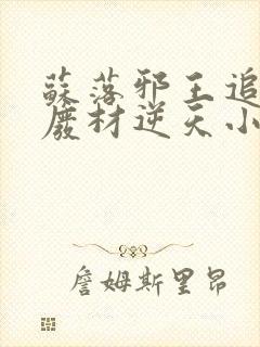 苏落邪王追妻:废材逆天小姐