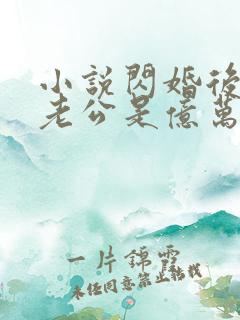 小说闪婚后发现老公是亿万富豪