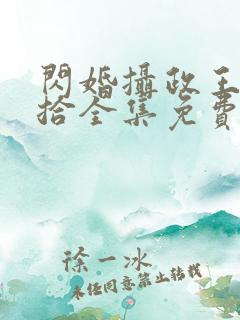 闪婚摄政王欠收拾全集免费看