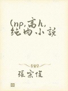(np,高h,纯肉小说