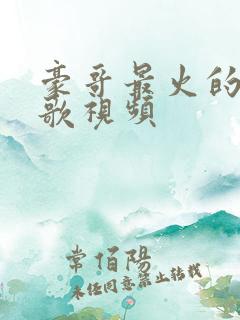 豪哥最火的十首歌视频