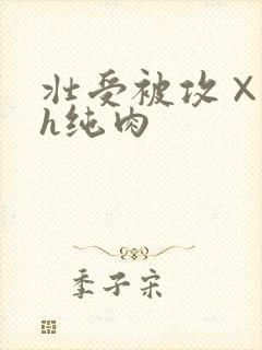 壮受被攻×哭高h纯肉