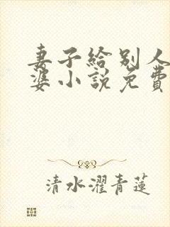 妻子给别人当老婆小说免费阅读