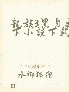 龙族3黑月之潮下小说下载