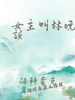 女主叫林晚的小说