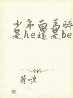 少年白马醉春风是he还是be