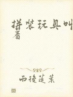 拼装玩具叫啥来着