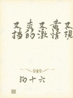 又爽又黄又无遮挡的激情视频