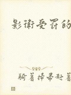 影卫受罚的小说