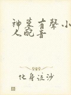 神墓有声小说多人配音