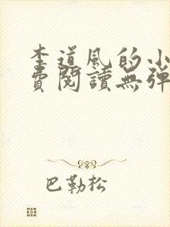 李道风的小说免费阅读无弹窗