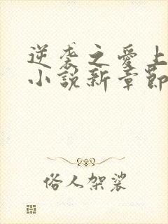 逆袭之爱上情敌小说新章节列表