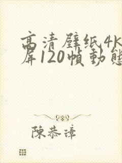 高清壁纸4k全屏120帧动态壁纸