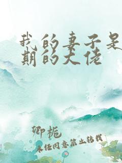 我的妻子是大乘期的大佬