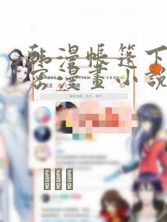 韩漫帐篷下的秘密漫画小说：结局+番外