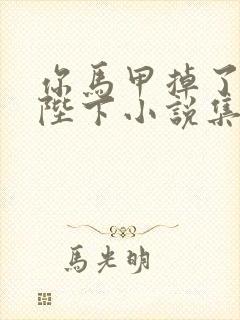 你马甲掉了幽皇陛下小说集