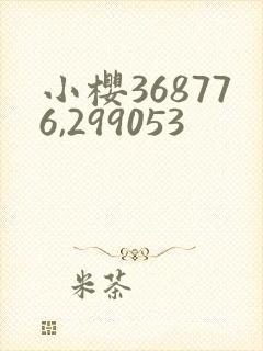 小樱368776,299053