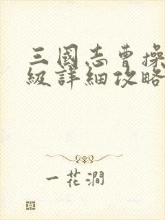 三国志曹操传压级详细攻略