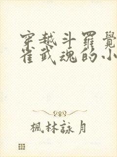 穿越斗罗觉醒朱雀武魂的小说