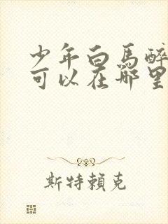 少年白马醉春风可以在哪里看