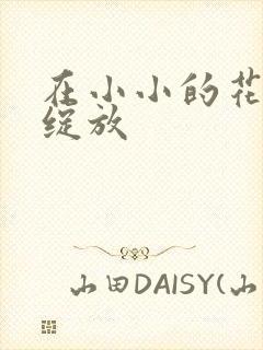 在小小的花蕾里绽放