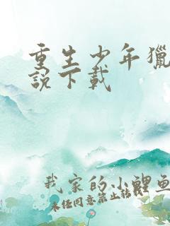 重生少年猎美小说下载