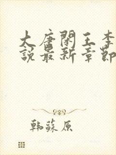 大唐闲王李慎小说最新章节列表