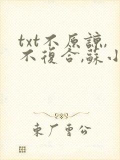 txt不原谅,不复合,苏小姐独美下载