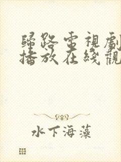 归路电视剧免费播放在线观看全集