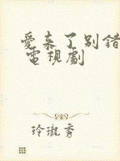 爱来了别错过2 电视剧