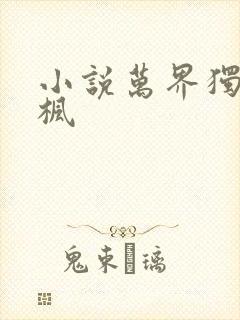 小说万界独尊林枫