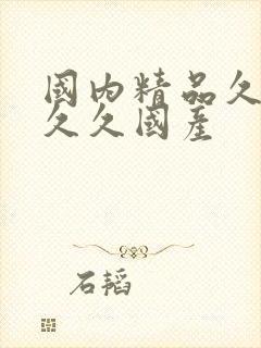 国内精品久久久久久国产