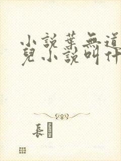 小说叶无道徐灵儿小说叫什么名字