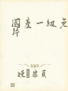 国产一级免费淫片