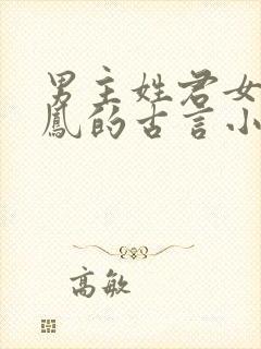 男主姓君女主姓凤的古言小说