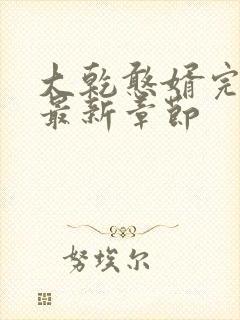 大乾憨婿完整版最新章节