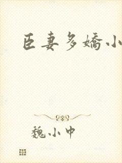 臣妻多娇小说