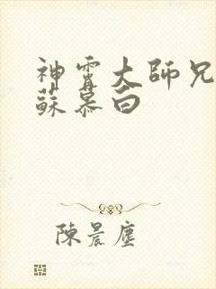 神霄大师兄林枫苏慕白