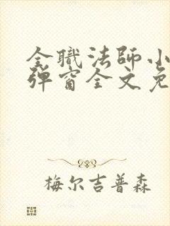 全职法师小说无弹窗全文免费阅读