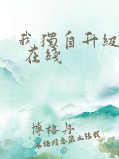 我独自升级动漫 在线